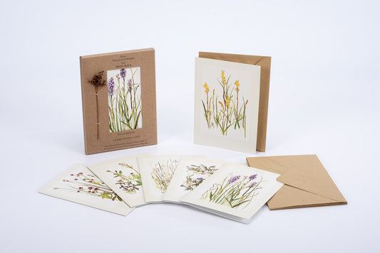 6 PACK OF GREETING CARDS – BOG FLOWERS