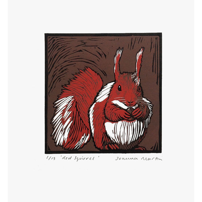 Joanna Martin - Red Squirell Art Print