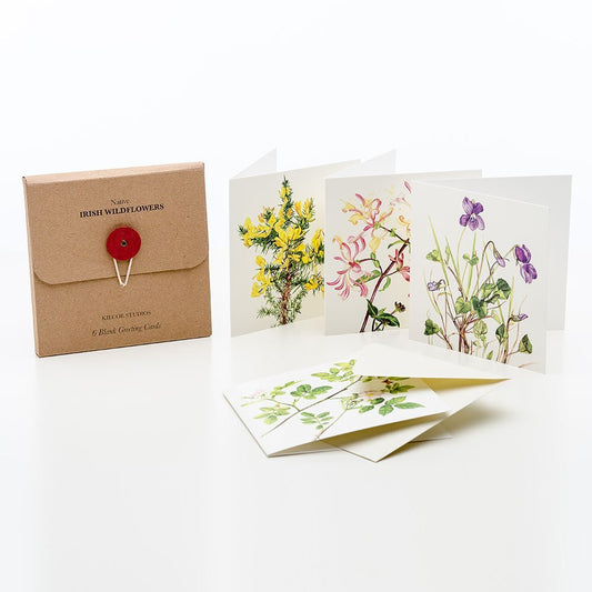 Kilcoe Studios Card Pack (3 styles)