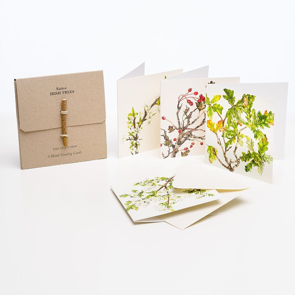 Kilcoe Studios Card Pack (3 styles)