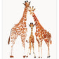 Giraffe Family- A4 Print