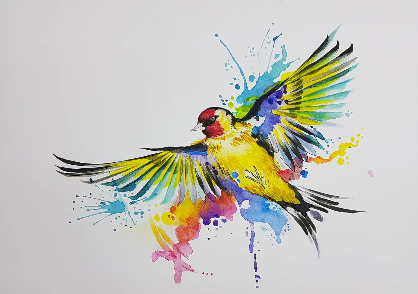 Louise Flynn- Goldfinch