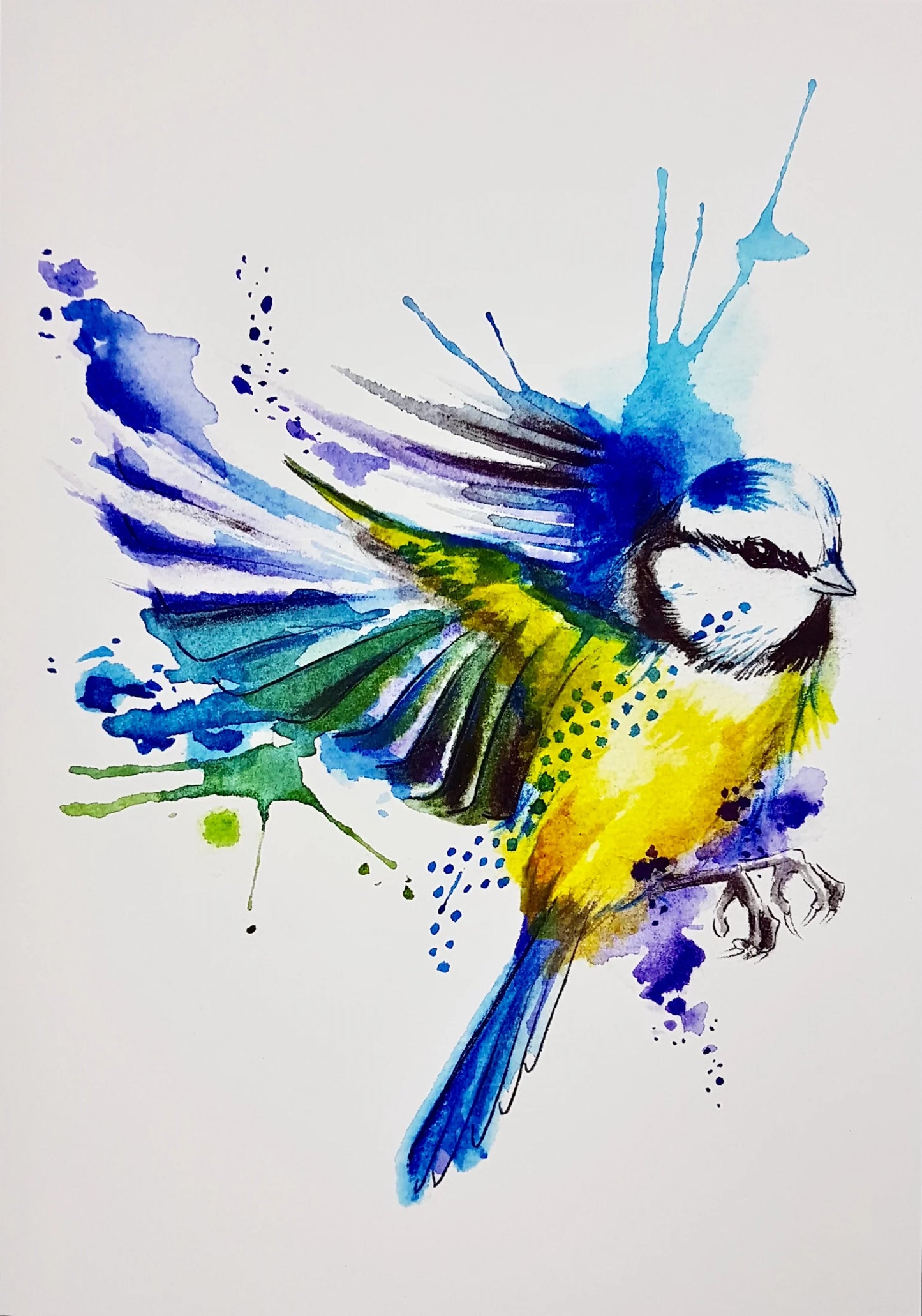 Louise Flynn- Bluetit