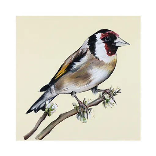 Dollybirds- Goldfinch Art Print