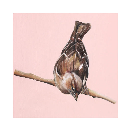 Dollybirds- Chaffinch Art Print