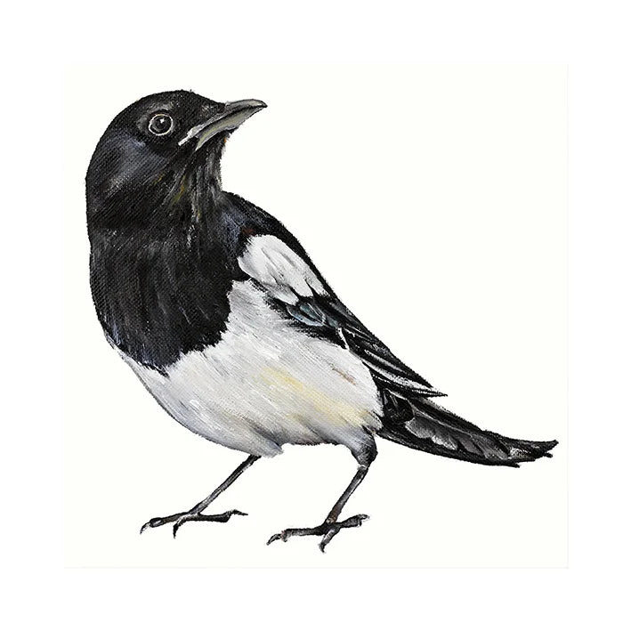 Dollybirds- Magpie Art Print