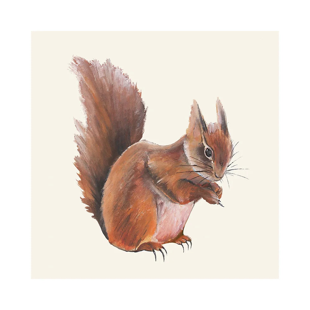 Dollybirds- Squirrel Art Print