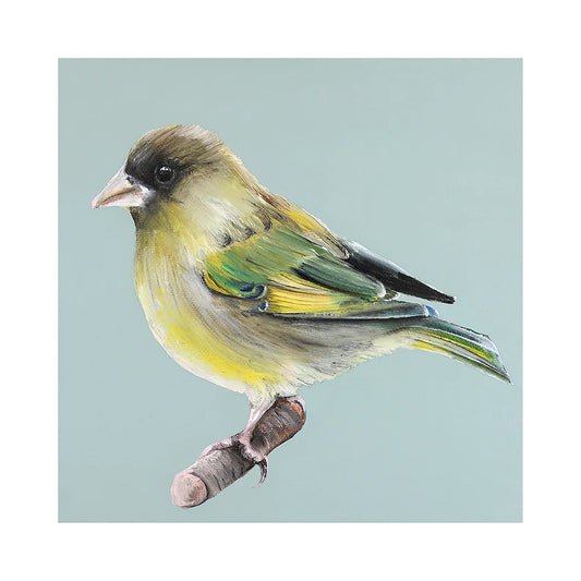 Dollybirds- Greenfinch Art Print