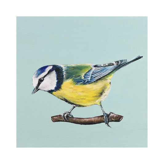 Dollybirds- Blue Tit Art Print