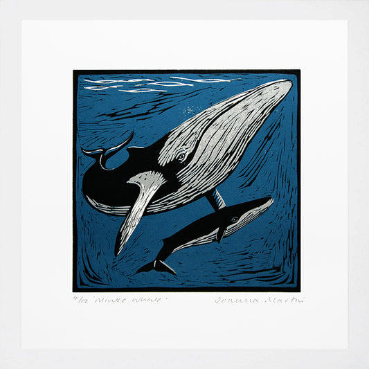 Joanna Martin - Minke Whale Art Print