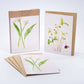 Edible Garden Greeting Cards | 6 Pack